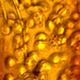 The blood cells (Image: George Poinar Jr)